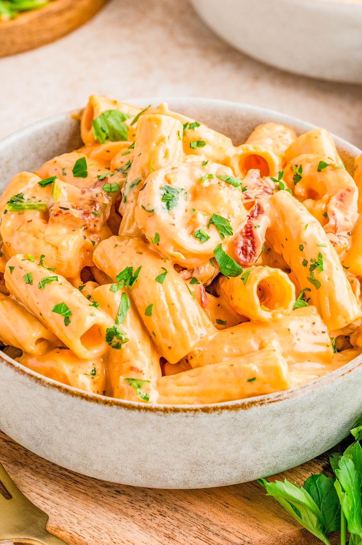 A bowl of creamy rigatoni pasta garnished with chopped parsley and sun-dried tomatoes.