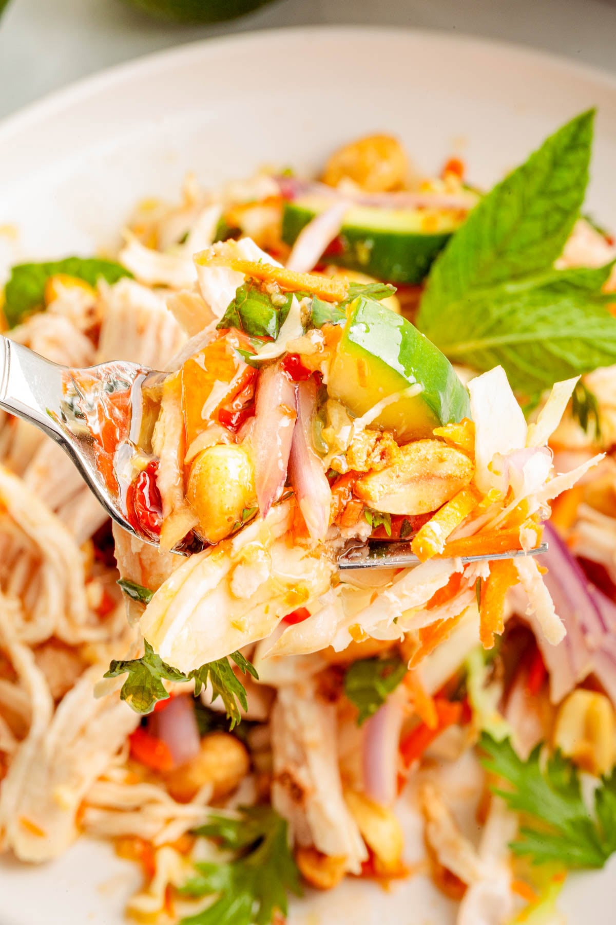 A close-up of a fork holding a bite of shredded chicken salad with peanuts, red onion, herbs, and vegetables. A plate of the same salad is in the background.