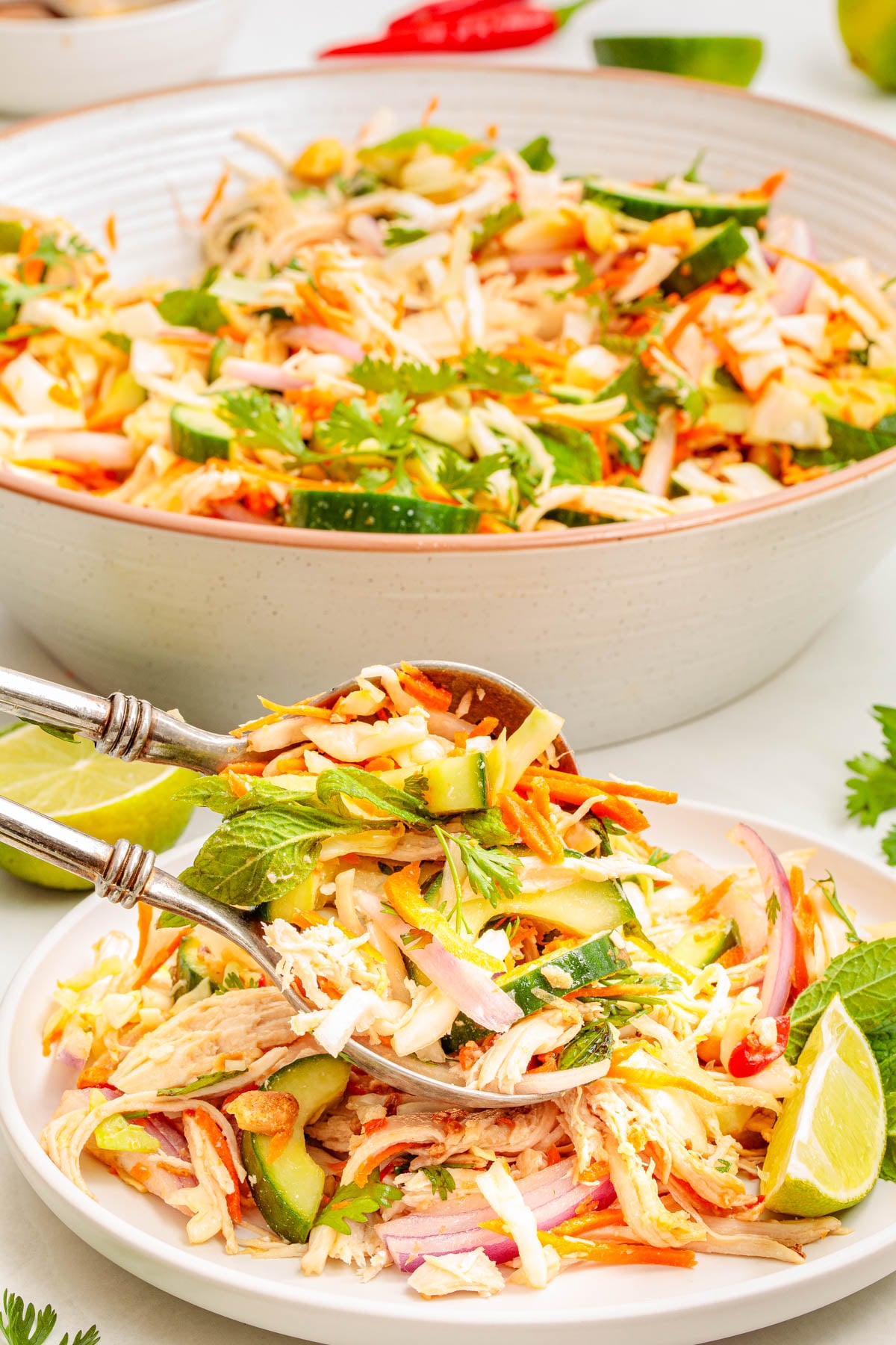 A serving of shredded chicken salad with carrots, cucumbers, red onions, herbs, and peanuts on a white plate, with a large bowl of salad in the background.