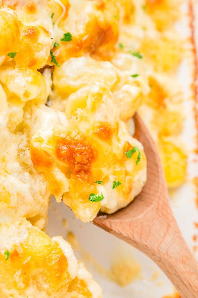A wooden spoon serving cheesy baked macaroni and cheese with a golden, bubbly top and a creamy texture.