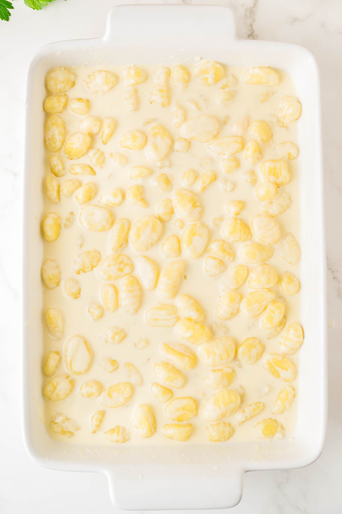 White baking dish filled with uncooked gnocchi covered in creamy white sauce, photographed from above on a light surface.