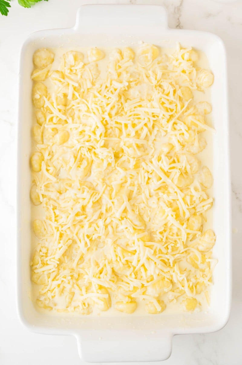 A white baking dish filled with pasta in a creamy sauce, topped with a layer of shredded cheese, ready to be baked.