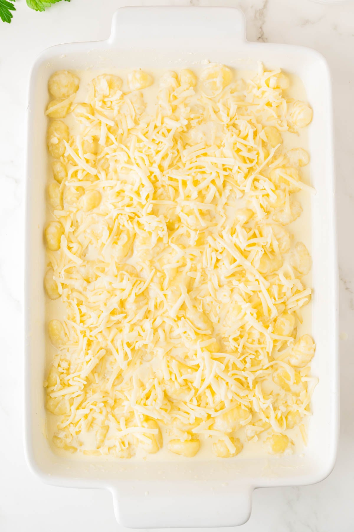 A white baking dish filled with pasta in a creamy sauce, topped with a layer of shredded cheese, ready to be baked.