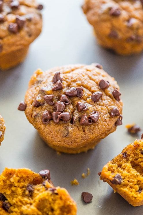 Mini Pumpkin Chocolate Chip Muffins — Easy, no mixer recipe for the SOFTEST, moistest, most ADORABLE little muffins ever!! Rich PUMPKIN flavor and CHOCOLATE in every bite!!